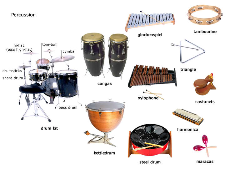 Koakid Kinder Tambourine mit 4 Schellen Musik Instrument Drums Hand Percussion 